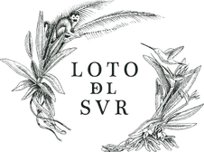 Loto del Sur
